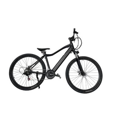 China High Quality Hidden Electric Bicycle 21 Speed 29Inch Electric Mountain Aluminum Alloy Battery Wholesale for sale