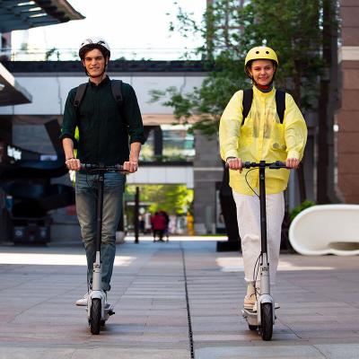 China NINEBOTS Unisex Two Wheel Electric Scooters G30LP Max Speed 30km/h 40km 350W 10 Inch Mobility Scooter For Sale for sale
