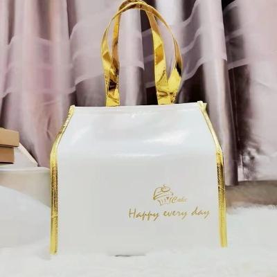 China Extra Large Waterproof Metallic Color Insulated Cooler Bag Lunch Insulated Cooler Bags For Food for sale