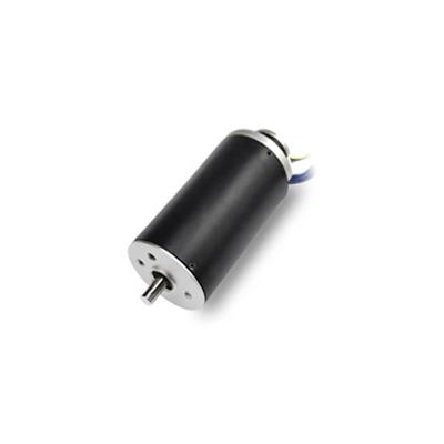 China Totally Included Replace Maxon Faulhaber 22Mm High Power 12V 24V Coreless Bldc Servo Motor DC2248 Speed 10000Rpm Used For Robot for sale