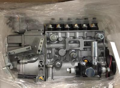 China BH6P110 BP5676,P10Z002 Injection Pump for Shangchai C6121 Engine Fuel Injection Pump for sale