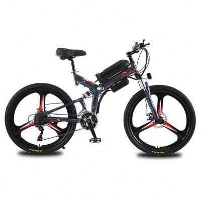 China Good Quality Cross Country Mountain Double Speed Variable Shock Absorber Electric Bicycle for sale