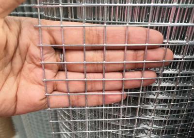 Cina cavo saldato 25.4X25.4mm Mesh Fence del recinto WG18 del pollame in vendita