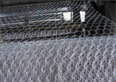 China malla de alambre hexagonal de la protección BWG27 del pollo de 1x1 13m m en venta