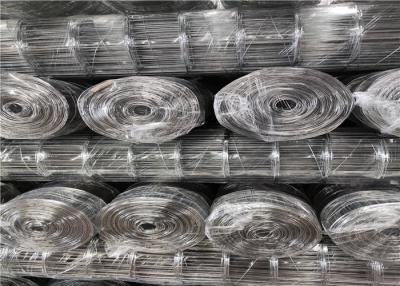 Cina Il foro di quadrato 1 X1 ha saldato caldo del calibro della rete metallica 12 immerso galvanizzato in vendita
