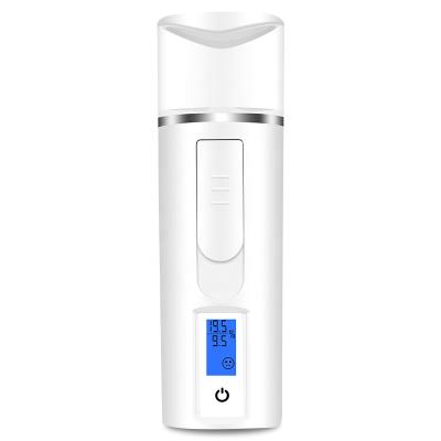 China Skin Moisturizing Nano Sprayer Mini Nano Facial Multifunctional Skin Sensing Equipment Beauty Mist Spray for sale