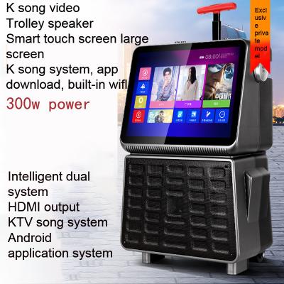 Chine haut-parleur portable avec PMPO de 90 W et matériel de placard en plastique à vendre