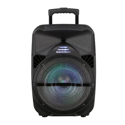 Chine Haut-parleur Bluetooth portable avec un subwoofer en plastique de 12 pouces et un microphone à vendre