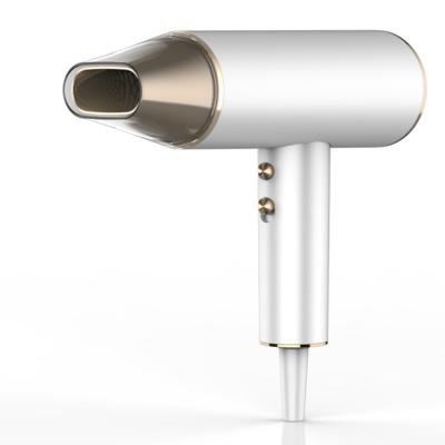 China 2 Speed Ionic Wholesale Multifunction Portable Hair Dryer Private Label Blow Dryer for sale