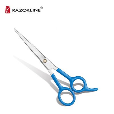 China Mass Sale Viable Plastic Pet Scissors Economical Handle Types For Pet Grooming Home Care for sale