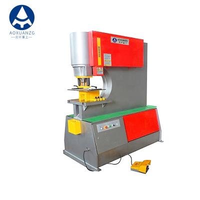 China Single Head Hydraulic Punching Machine Puncher Hole 40mm Carbon Steel for sale