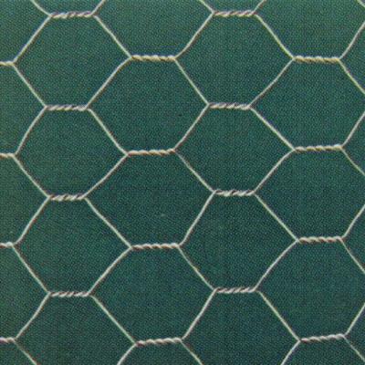 China Strong And Flexible Strong And Flexible Wire Chicken /Bird Cage Mesh Hexagonal /Galvanized Wire Netting (ISO9001) for sale