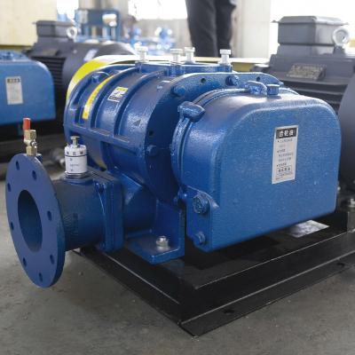 China Industrial Blower Hot Sale In China Roots Vacuum Pump High Speed Centrifugal Inflatable Fan Blower for sale