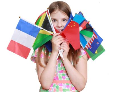 China Mini Hand Flags Country Hand Hanging Flag Waving Waving Stick Held Flag With Plastic Pole for sale