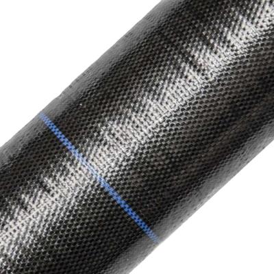 China 100% Virgin PE or PP Plating Mat Grow Grid Weed Control Weed Control Planting Mat Garden Plastic Ground Cover Mesh for sale