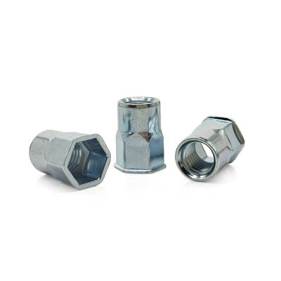 China M4/M5/M6 Zinc Plated Hex Rivet Nut for Sheet Metal Assembly for sale