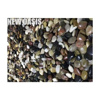 Китай Landscape Decoration Driveway Pebble River Stone Various mix size/color Natural Rain Flower Cobbles & Pebbles stone продается