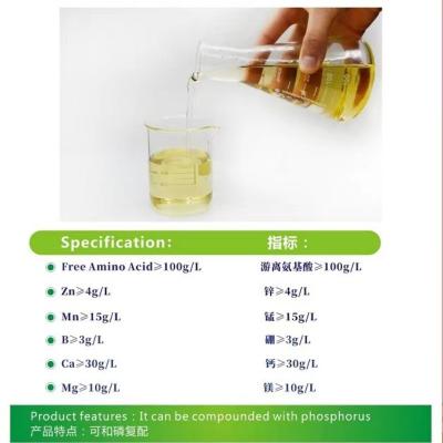China Zinc Calcium Magnesium Amino Acid Chelated Tomato Grape Apple Fertilizer For Organic Farming for sale