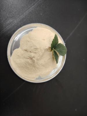 China Bone Peptone Protein Hydrolysate – High-Nitrogen Organic Fertilizer & Animal Feed Supplement for sale
