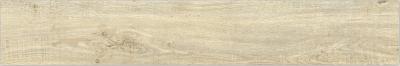 Chine Les 20 x 120 tuiles d'intérieur rectifiées de porcelaine de taille de cm glissent non la couleur beige légère à vendre