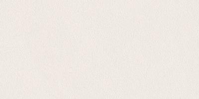 China 600x1200mm Polished Finished Nano Vitrified Thin Porcelain Tiles Indoor Porcelain Tiles for sale