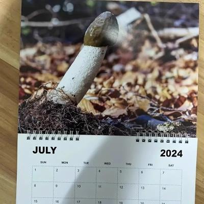 China Haga que su calendario de pared personalizado se destaque con personalización y unión en espiral duradera en venta