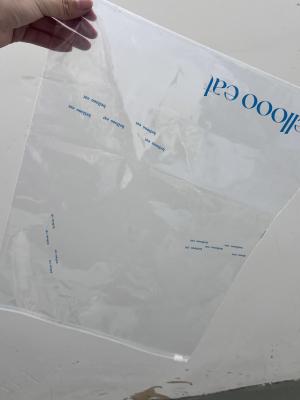 China Custom Biodegradable Transparent Slider Lock Frosted Zipper Packaging Bags for sale