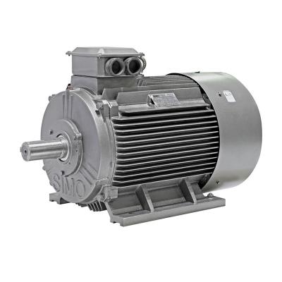 China Totally Enclosed Yard 200L-4/2- 26kw 30kw 380V Low Voltage IE2 Two Speed AC Motor for sale