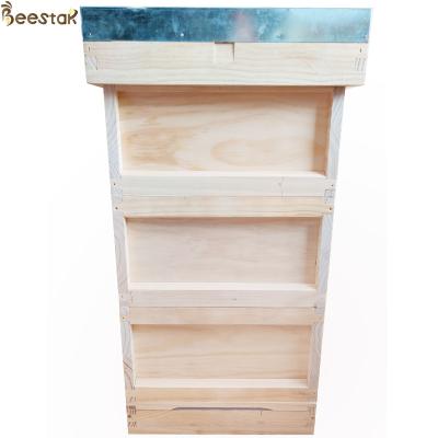 China Langstroth Style Wooden Beehive Equipment for Beekeeping and Apiculture for sale