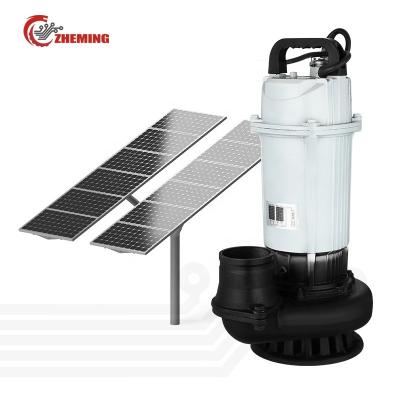 China Developing World Water Solutions DC Solar pump 3inch 60v750w1hp high lift large flow irrigation pump agricultural pump brushless dc submersible solar pum for sale