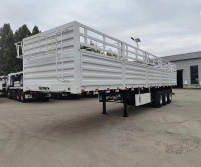 China Self dumping 40FT 80tons Stake Cargo Fence Container Semi Truck Trailer AND9407CXY for sale