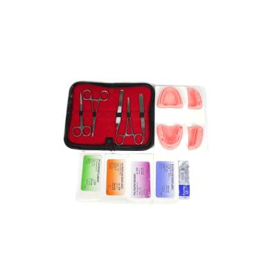 China Dental Surgical Medical School Suture Practice Kit, Oral Suture Medical Model, Suture Simulation Kit for Medical Training for sale