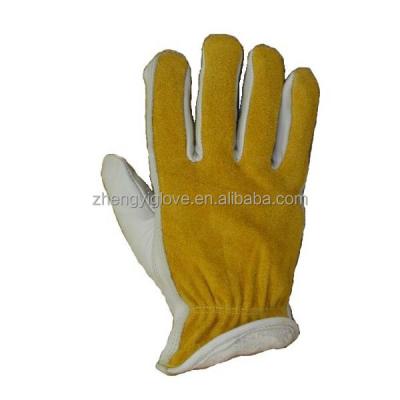 China Cowhide Driver Glove With Grain Palm/Split Back, Cotton Fleece Lined Cowhide Driver Glove ZY2106 for sale