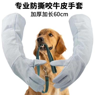China Long Leather Anti-bite Anti-Slip Gloves For Pets for sale