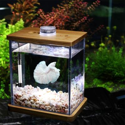 China 50 Watt Adjustable Submersible Heater For Turtle for sale