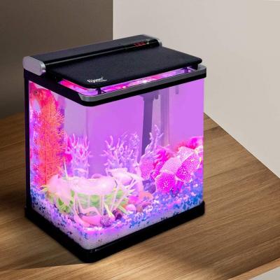 China Smart 4 Gallon Desktop Betta Office Fish Tank for sale