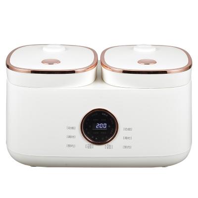 China Hotel design factory 2022 own mold intelligent electric multi cooker rice cooker 2L+2L inner pots 10 two in 1 for sale