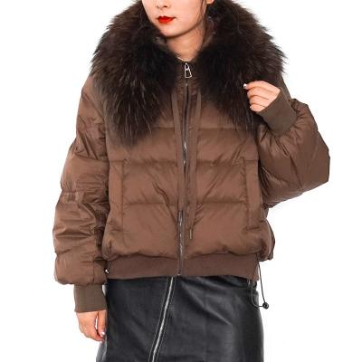 China Breathable wholesale winter real short women duck down coat With Raccoon Dog Fur Collar for sale