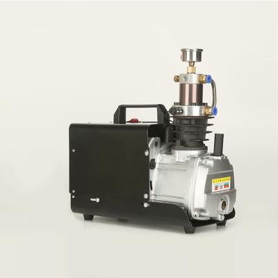 China 4500psi mini pcp 300 bar lubricated high pressure portable air compressor for sale