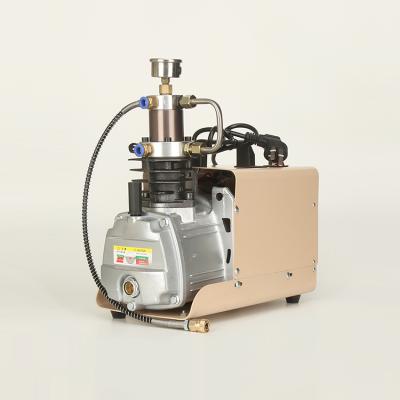 China Mini Portable Electric Lubricated Piston Electric High Pressure Air Compressor for sale