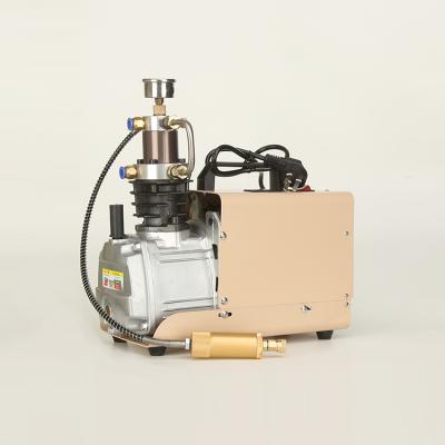 China Small 300bar High Pressure Electric Air Compressor Lubricated for sale