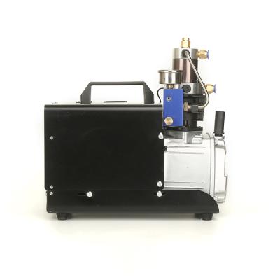 China Manufacturer Lubricated Mini Industrial Hot Air Compressor For Paintball Cylinder for sale