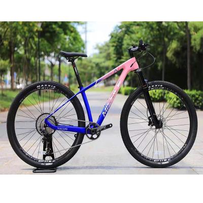 China Hot Selling Carbon Fiber MISSILE Carbon Fiber Mountain Bike 12 Speed 29er Cycling Mountain Bike for sale
