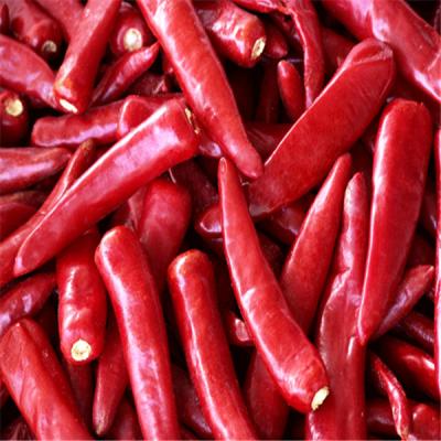 China 8000-12000shu Erjingtiao pimenta quente com armazenamento em local seco à venda