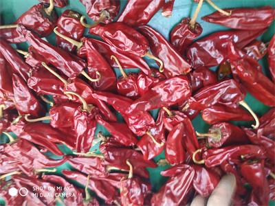 China 5000SHU Mild Dried Chilies Stemmed Grade A Dried Red Chile Pods for sale
