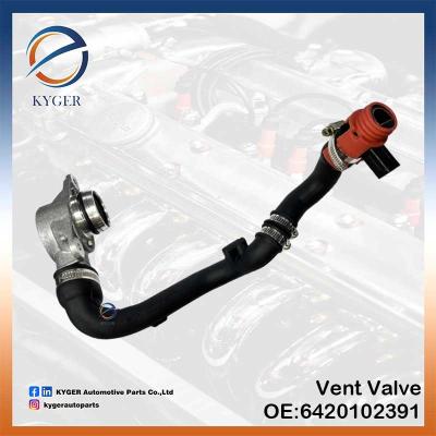 China Auto Engine 6420102391 Crankcase Vent Valve 642 010 23 91 for Mercedes Benz W204 W251 W164 for sale