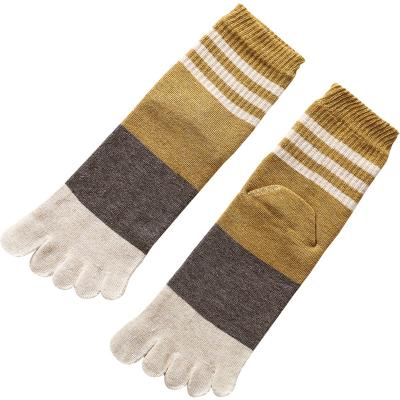 China Good Quality Cotton Different Colors Spring And Autumn Pure Cotton Mid Tube Toe Socks for sale