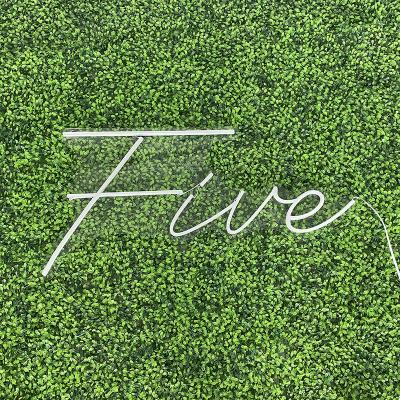 China Easy Installation Factory Price Professional Led Custom Neon Sign , Led Flex Neon Number Five For Shop for sale