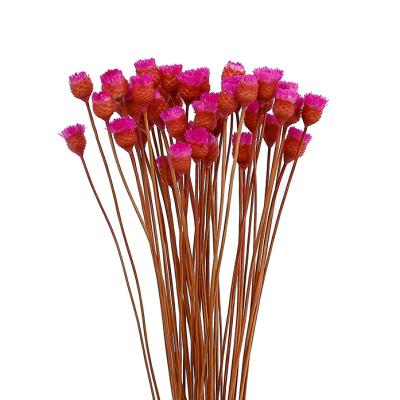 China Fashional Yunan Hot Selling Flower Arrangement Dried Flower Blossom Happy Bouquet For Decoration for sale