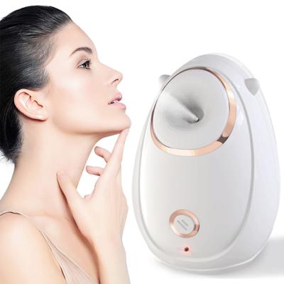 China Mister Mini Hot Wholesale Nano Smart Facial Spa Nourishing Cold Steamer Manufacturer for sale